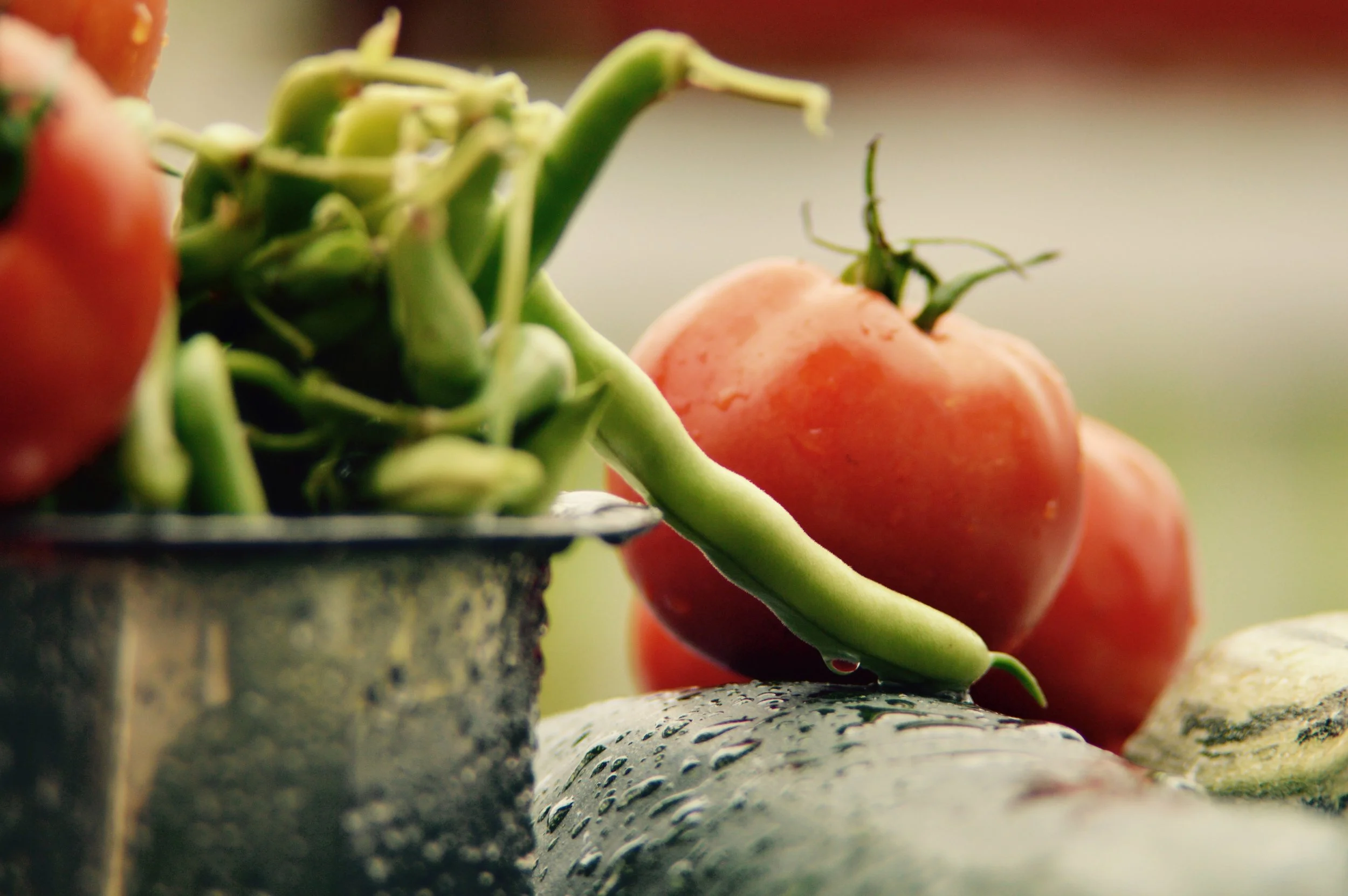 Gemischtes Tomaten-Bohnengemüse