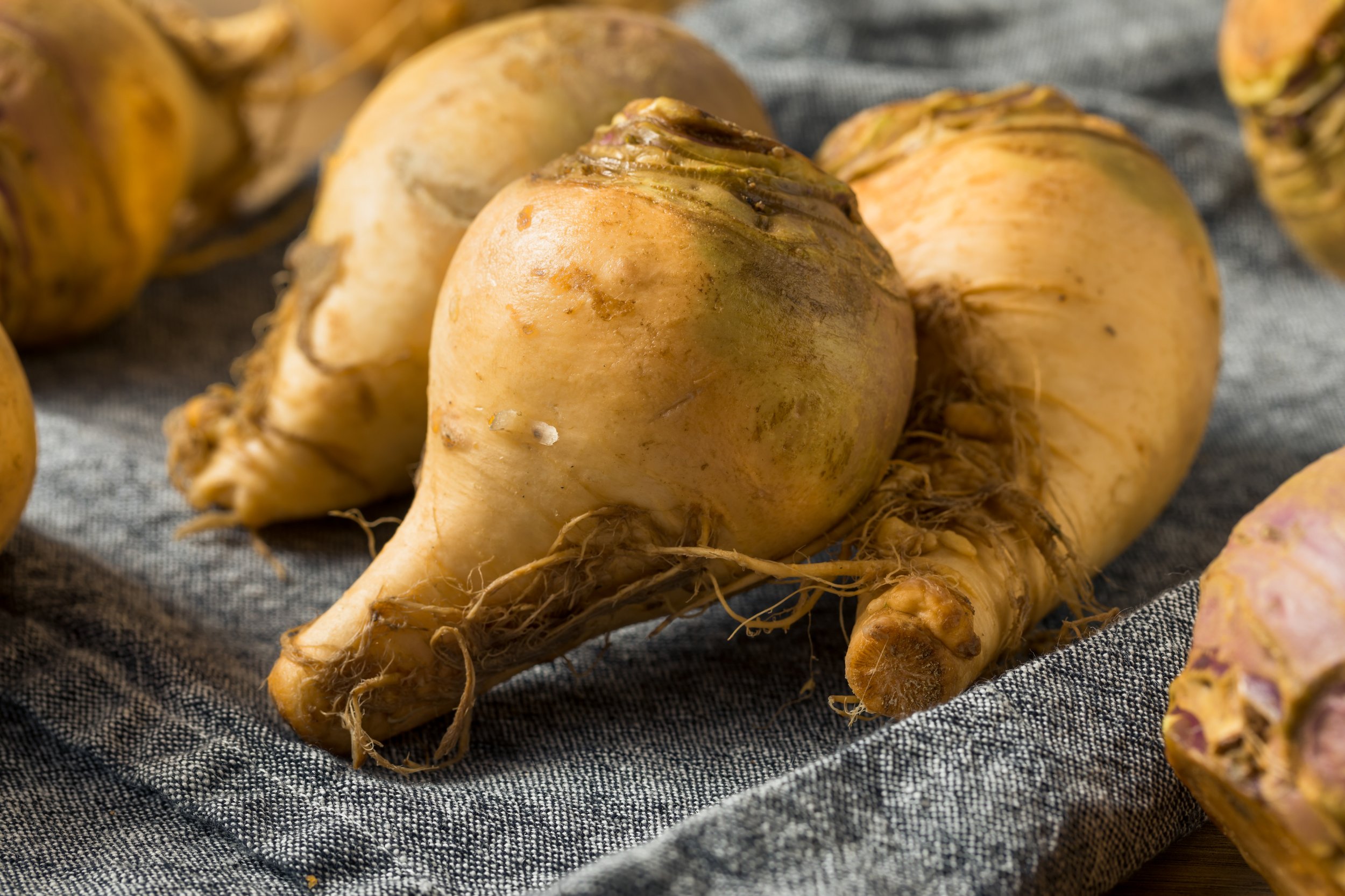 Bodenkohlrabi und Rüebli aus dem Ofen