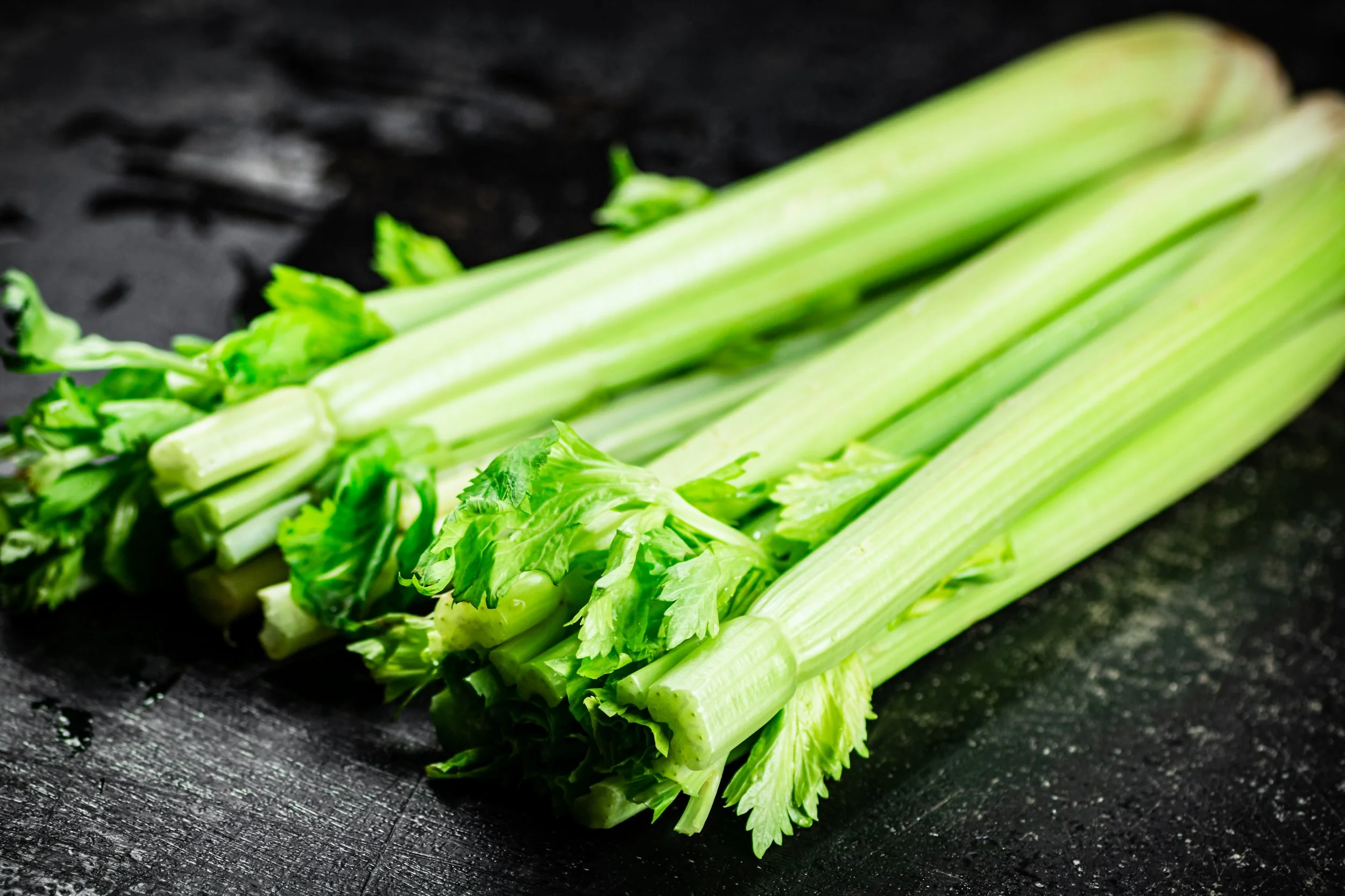 Stangensellerie mit Felchenfilets