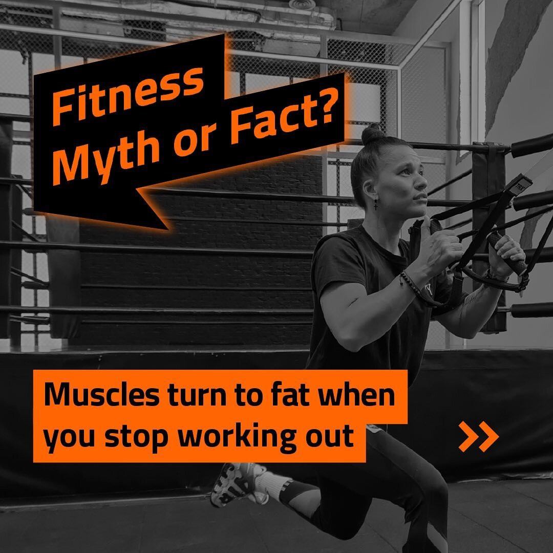 Our trainers are always available to provide you with the right fitness information and facts. Don&rsquo;t hesitate to ask them anything!
-
#نادي_نسائي #نوادي_الرياض
#fitness #sport #riyadh #saudiarabia #tribus #youneverknowuntilyoutri #riyadhgym #gy