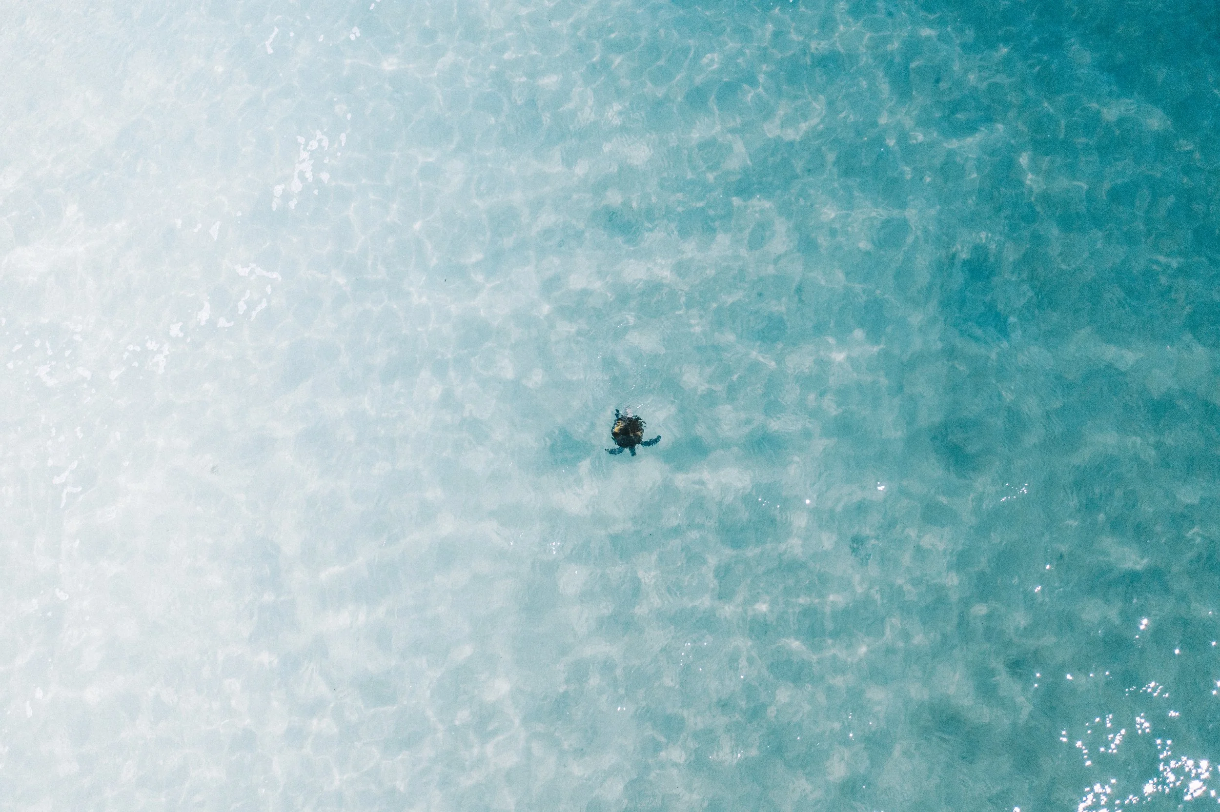 DJI_0407.jpg
