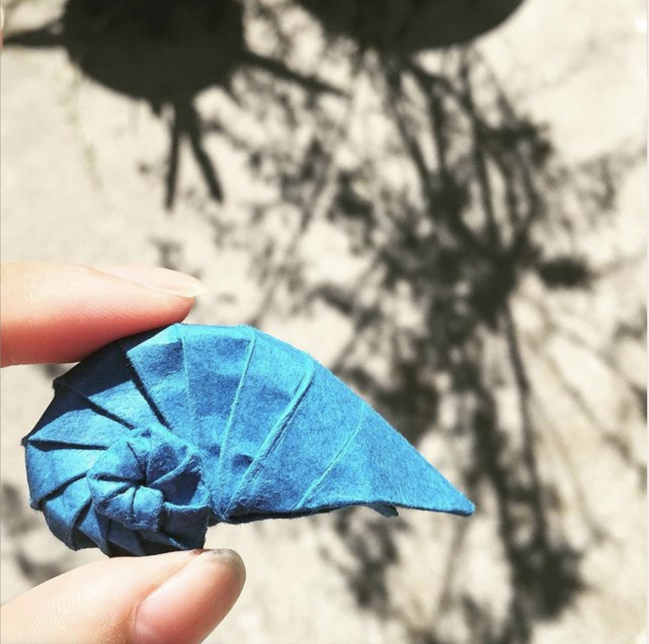 origami shell