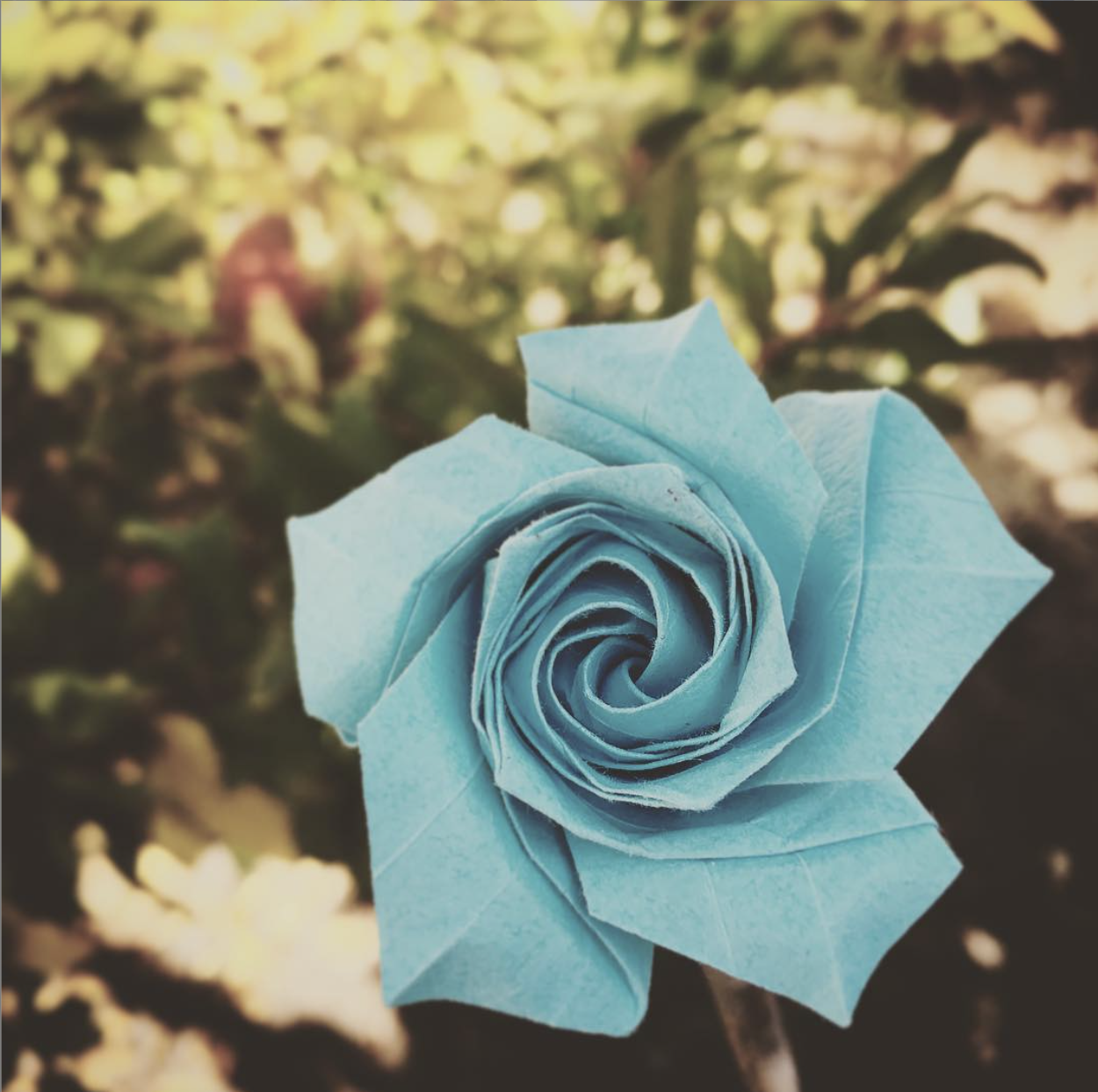 origami rose (blue)