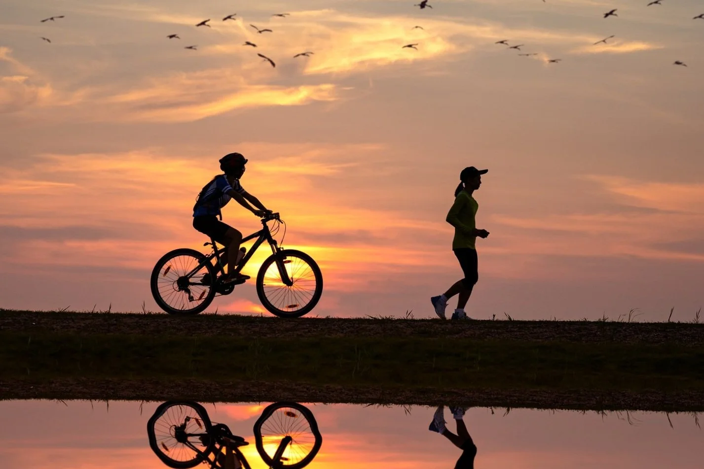 iStock-1225515849.jpg