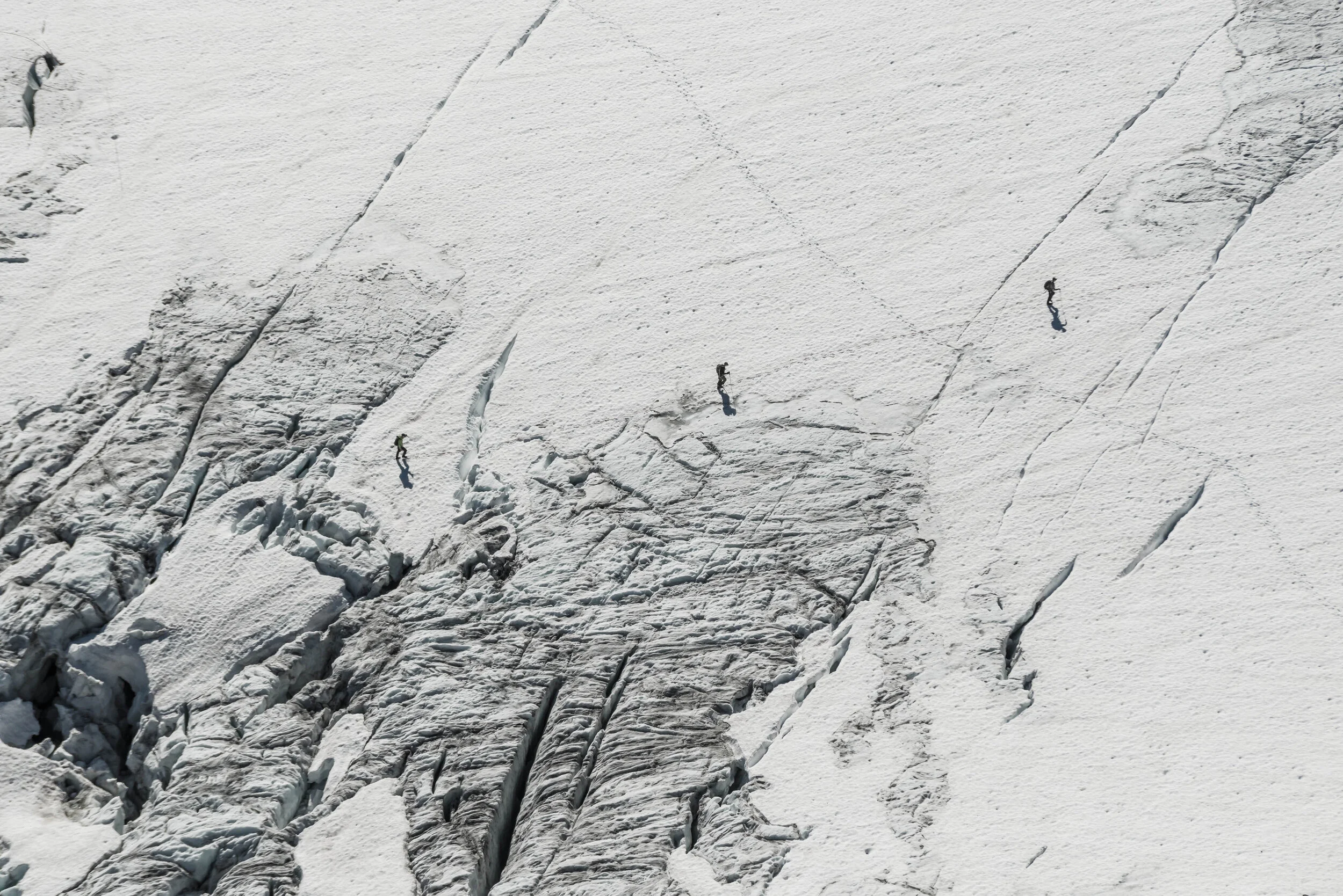 Courses Arctic Guides