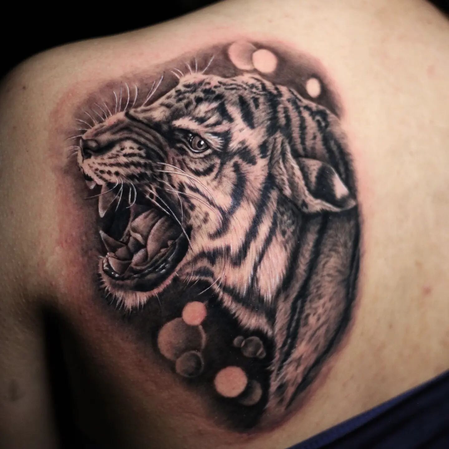 A beautiful tiger 🐯 tattoo done by Tadao @tstattoodesign 
He loves to make something like this tattoo. If you are interested in his work feel free to contact us via our website www.wildmonkeytattoo.com

#blackandgrayrealistictattoo #tigertattoos  #r