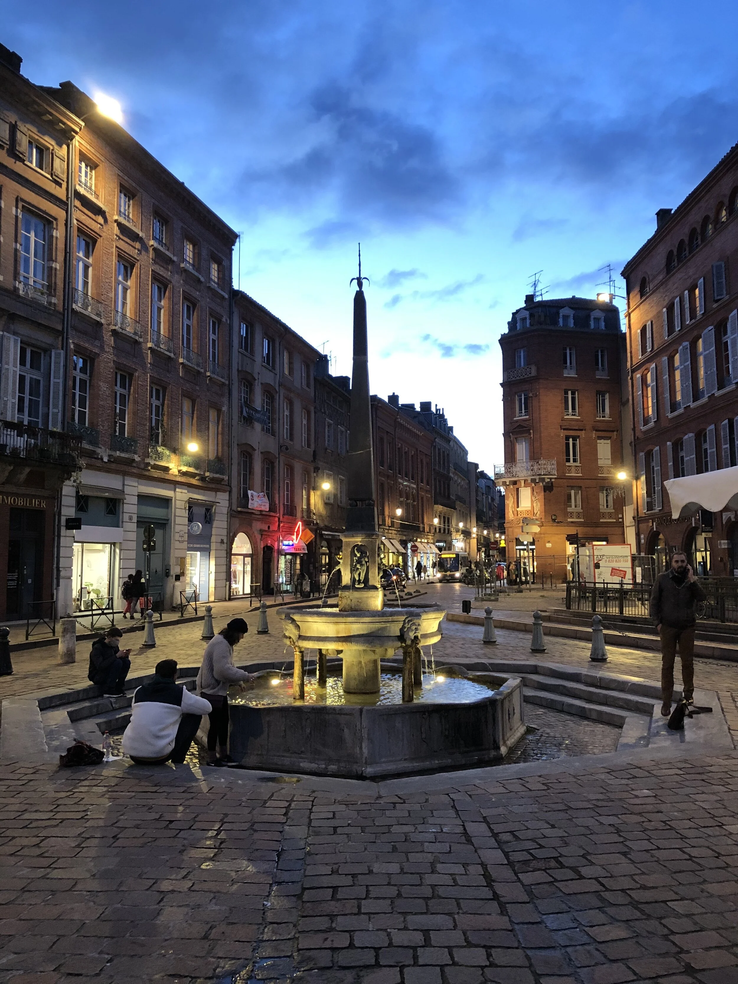 toulouse4.jpg