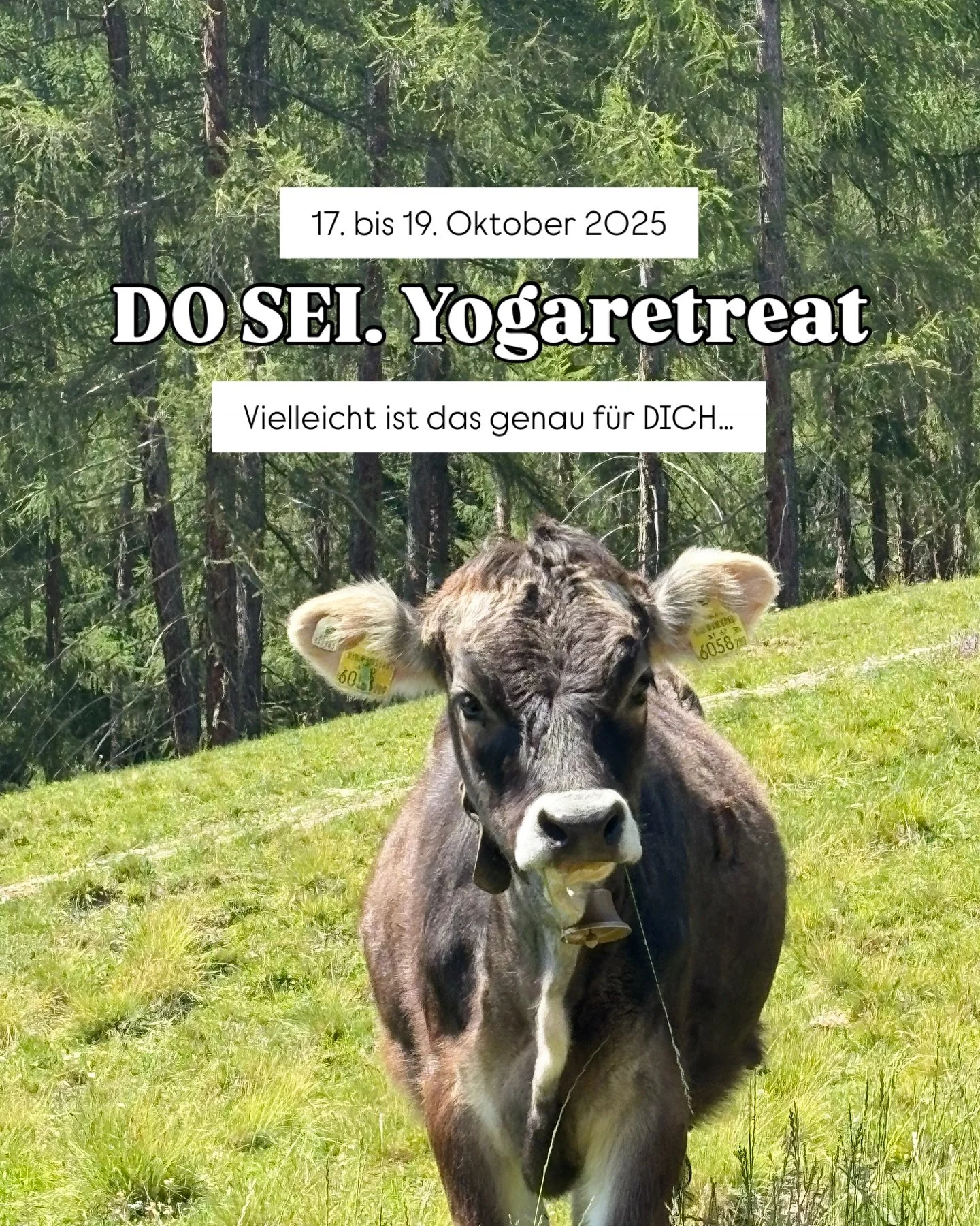 Wir haben vor ein paar Wochen die Location f&uuml;r unser DO SEI. Yogaretreat auf der Alm Ende Oktober besucht und wir haben uns sooo verliebt. 🥹 

Gleich als wir angekommen sind, haben wir die Schuhe ausgezogen und sind barfu&szlig; &uuml;ber die W