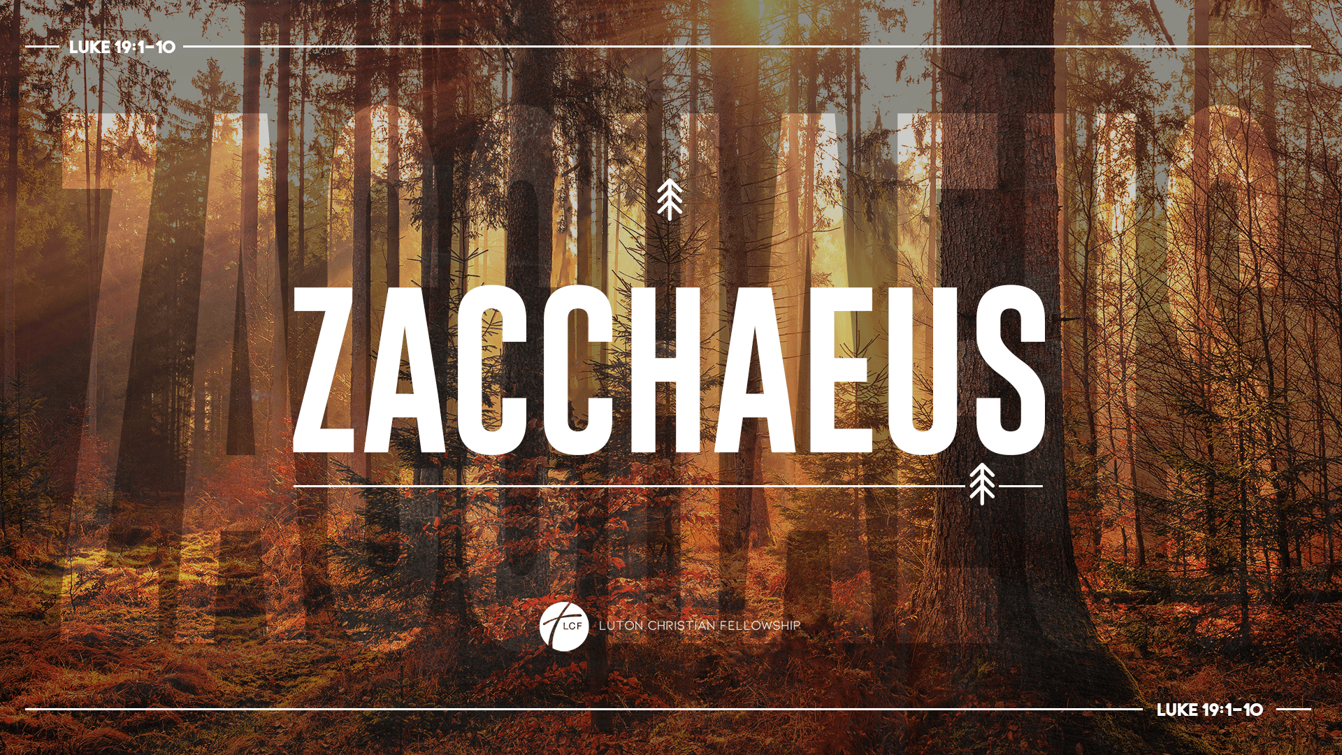 Zacchaeus