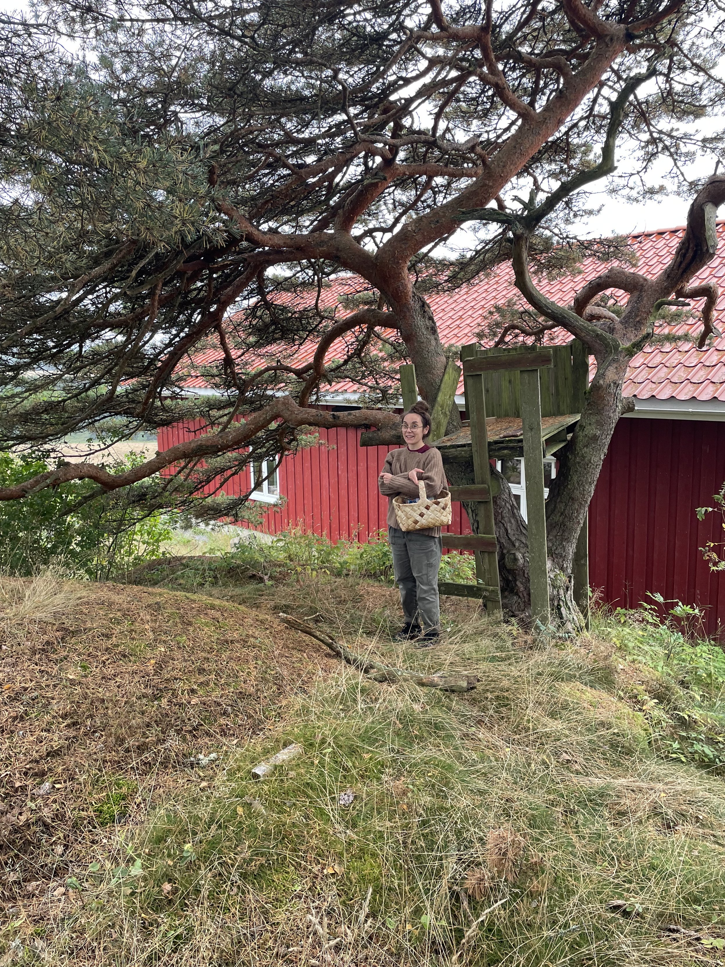 Photographer: Tiril Pharo