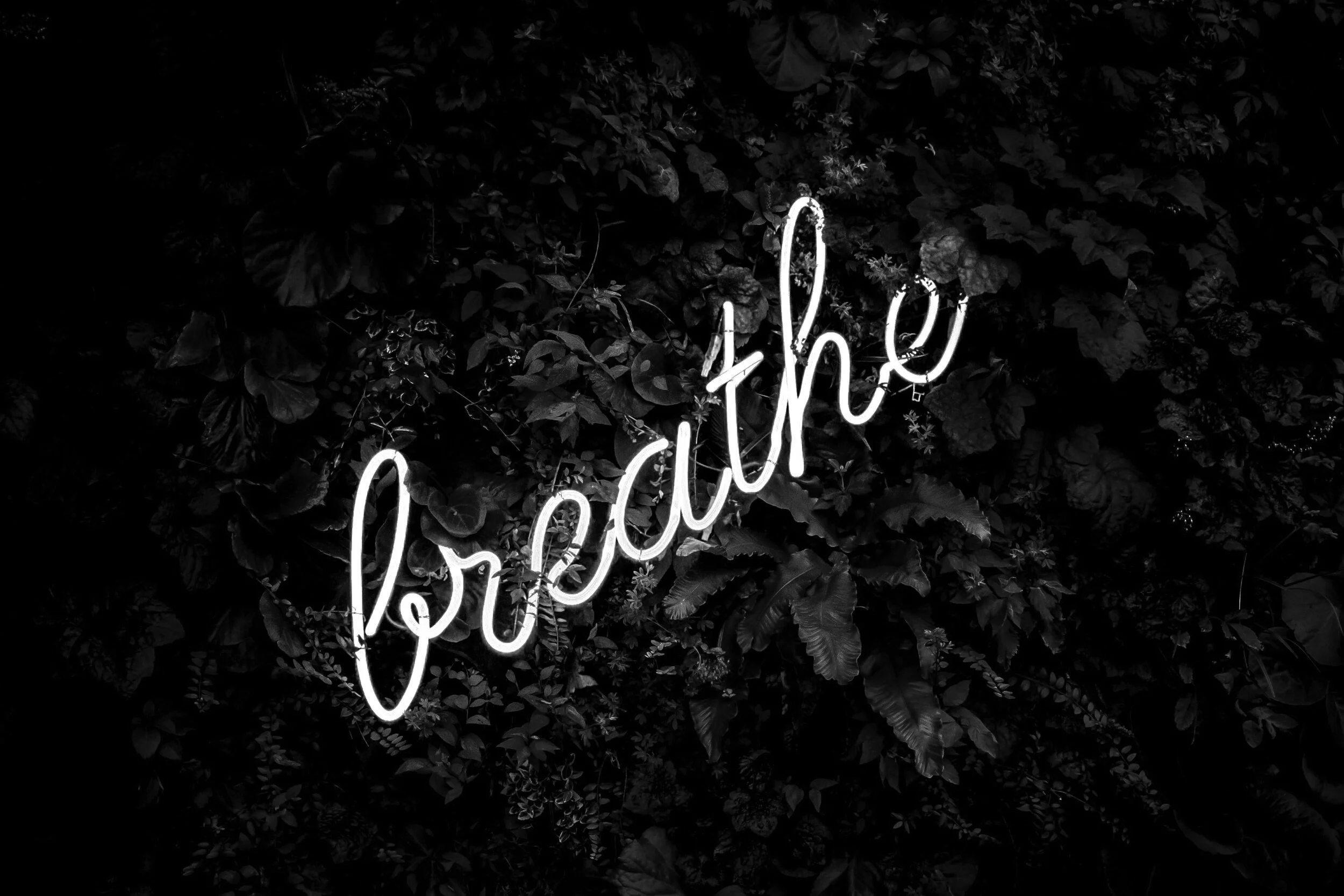 I quit my job to go it alone. Now what?