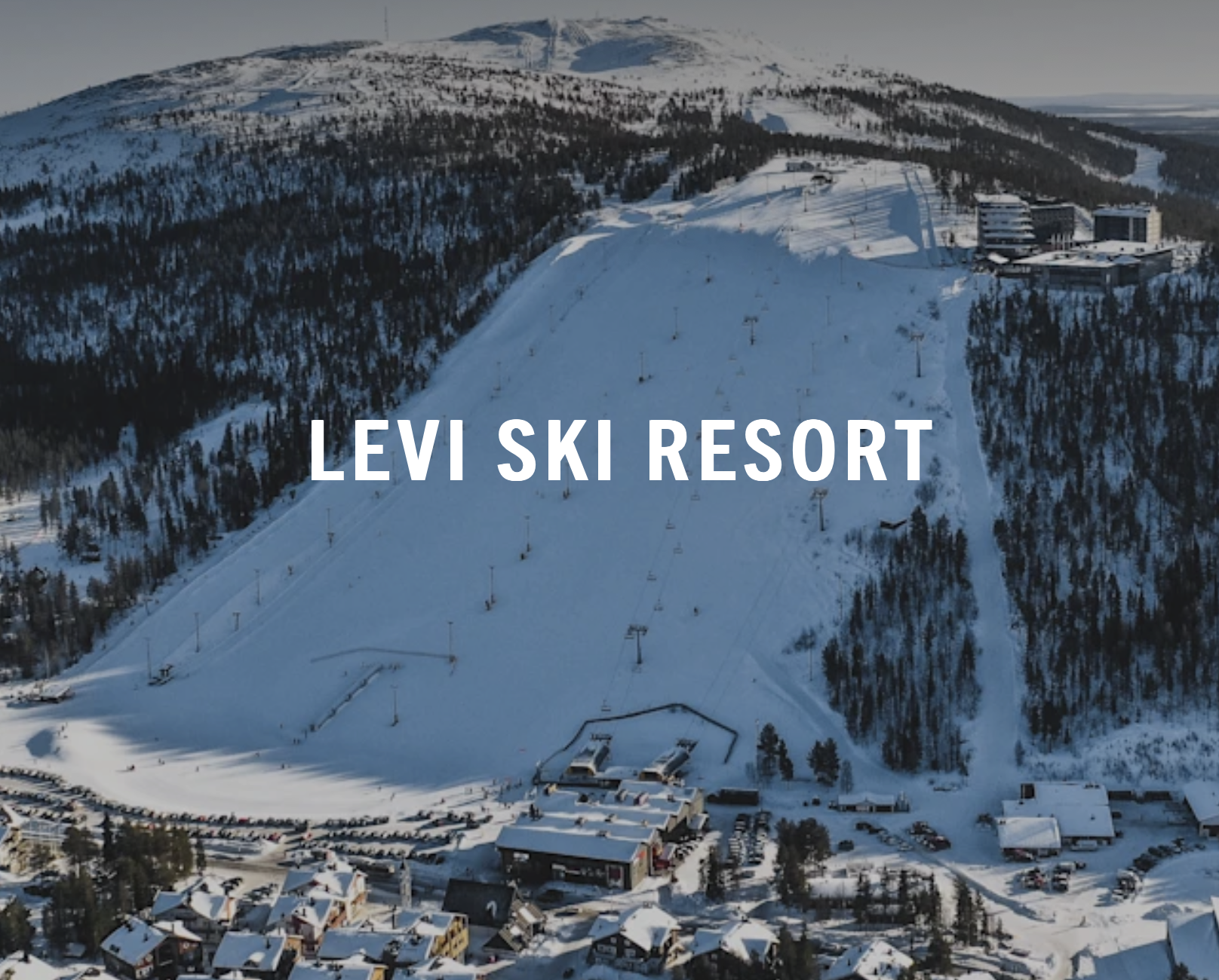 LEVI feat. Tormis T, 11. - E, 17. november