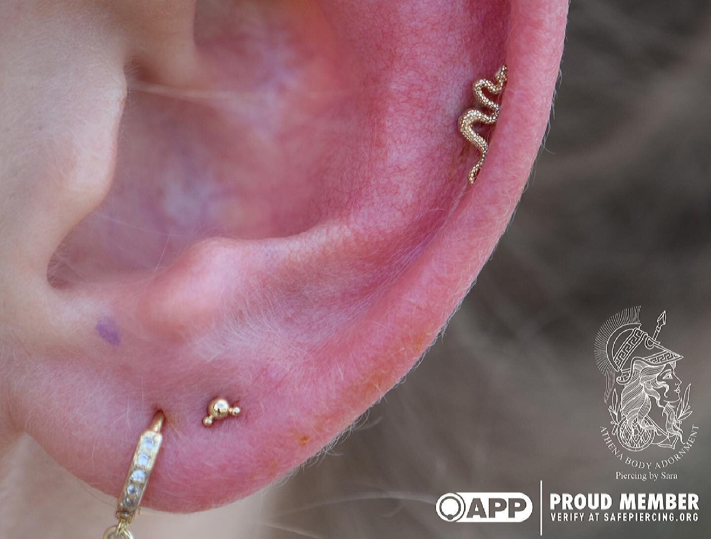 #earlobepiercing and #helixpiercing goodness featuring one of the always popular snakes from @bodygems 💫 here @athena_body_adornment 💫

Athena Body Adornment
1650 N. Federal Highway 
Suite 103
Pompano Beach, Florida 33062
954-532-9548

athenabodyad