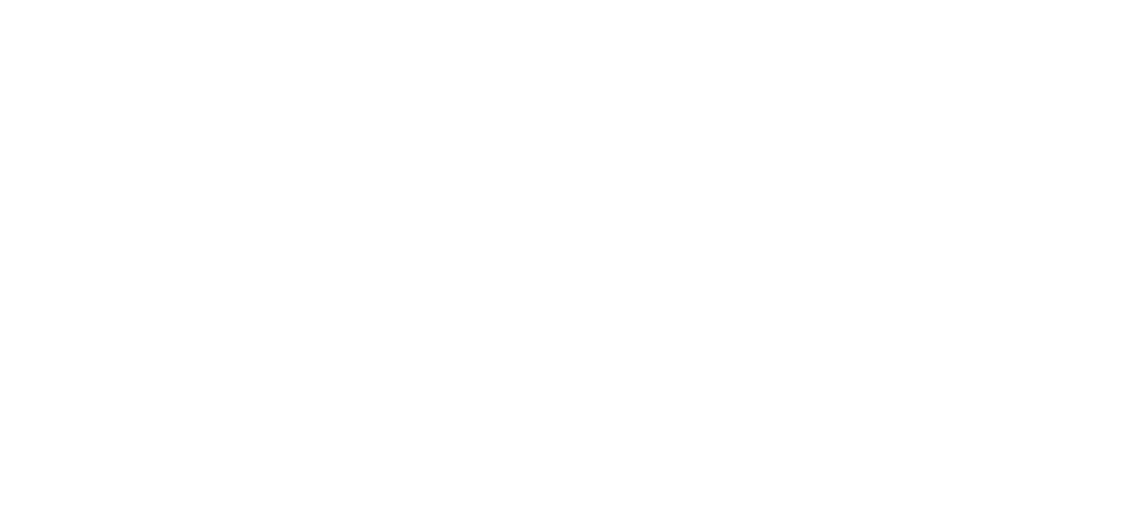 Game Producer