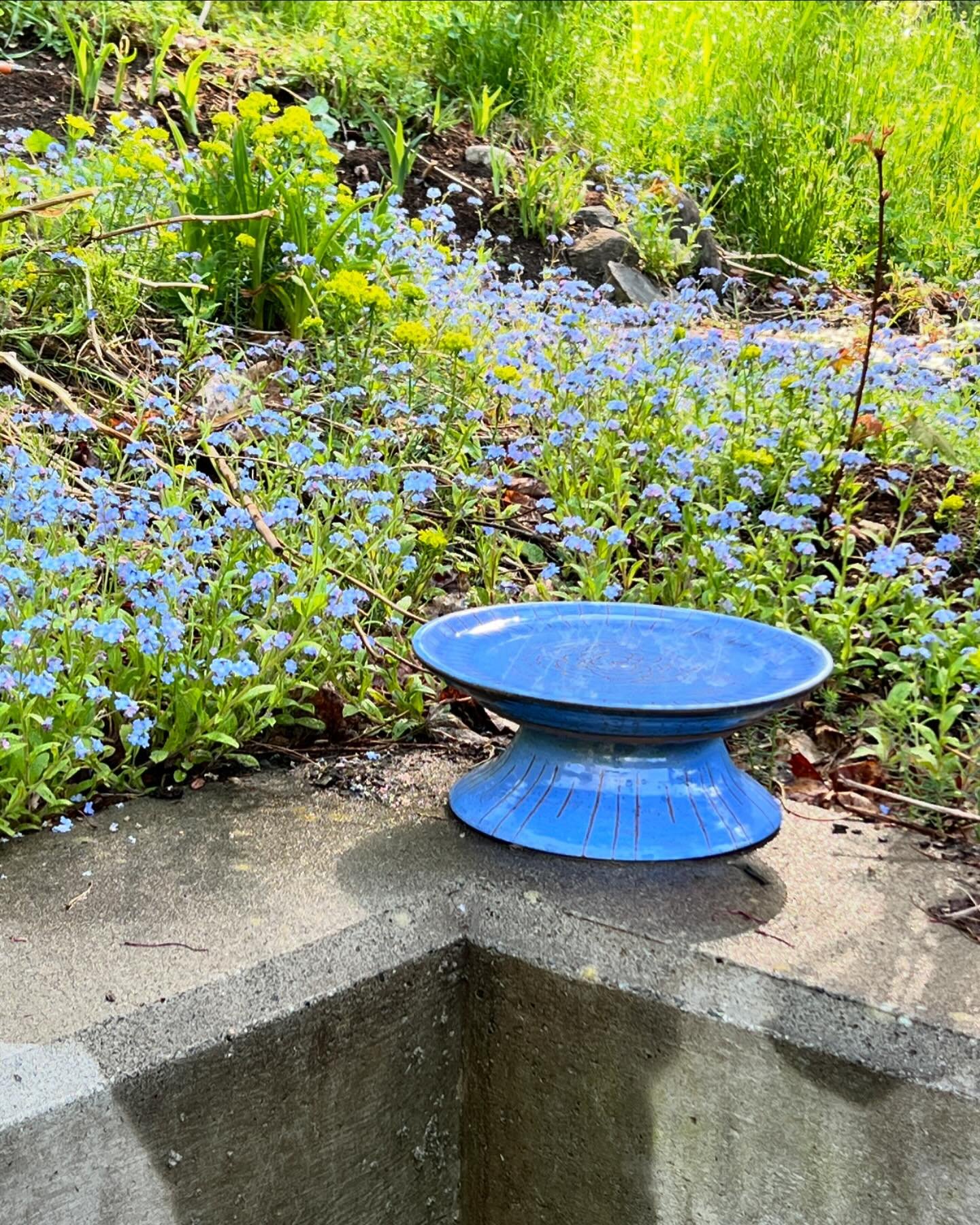 Blue Bird Bath. Hopefully the birds will be anything but blue when they arrive at this water station ❤️🦜#birdbath #birdbaths #starpuddingfarm #ceramicbirdbath #madeinvermont #vermontmade #vermontartist #birds #forthebirds #gardening #gardenlove #gar