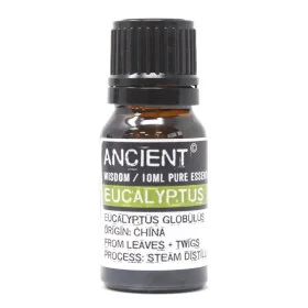 eucalyptus.jpeg