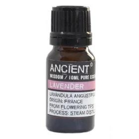 Lavender 10ml