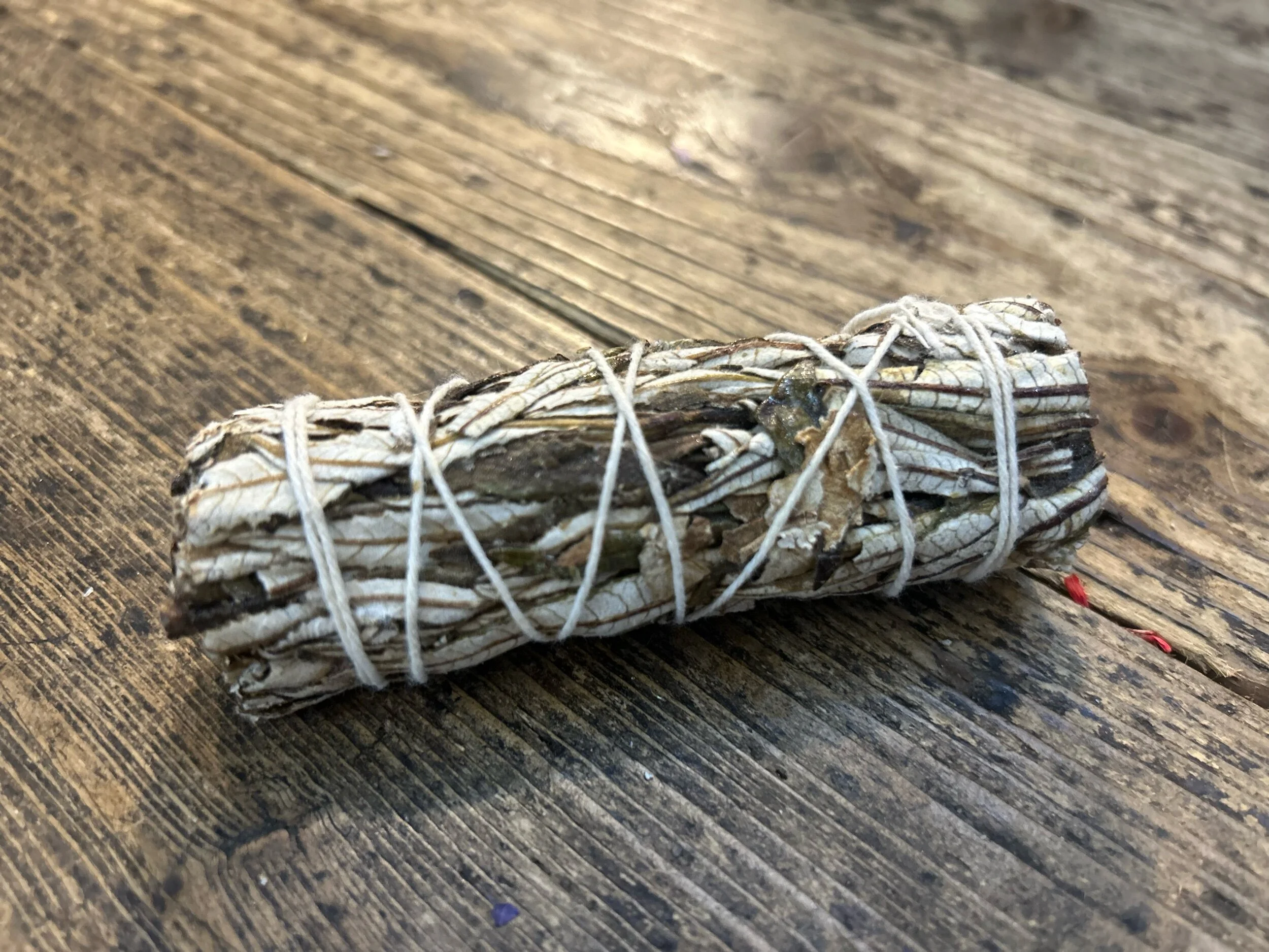 178F2A54-FA6B-407E-87FE-79788ACB9EE8