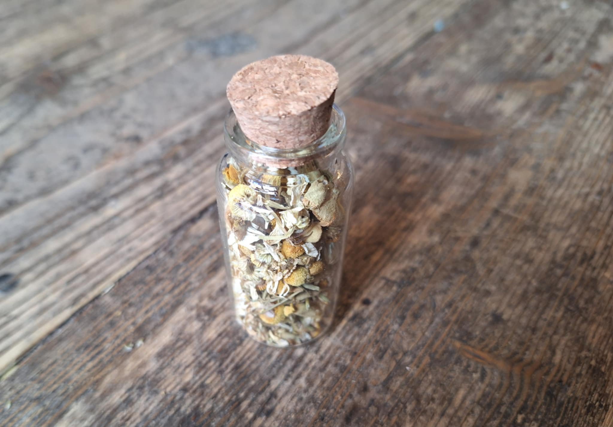 Chamomile small.jpg