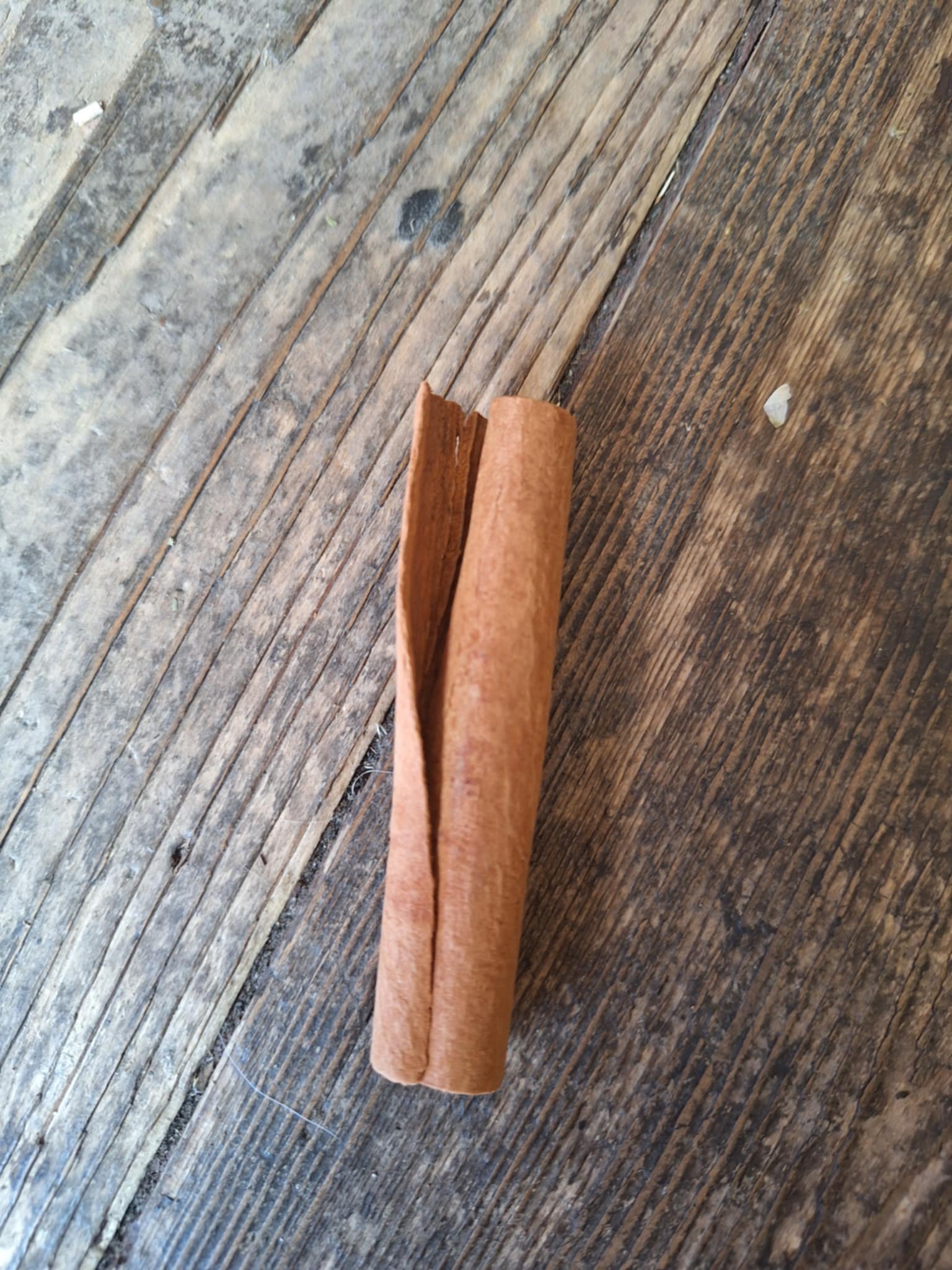 Cinnamon stick big.jpg