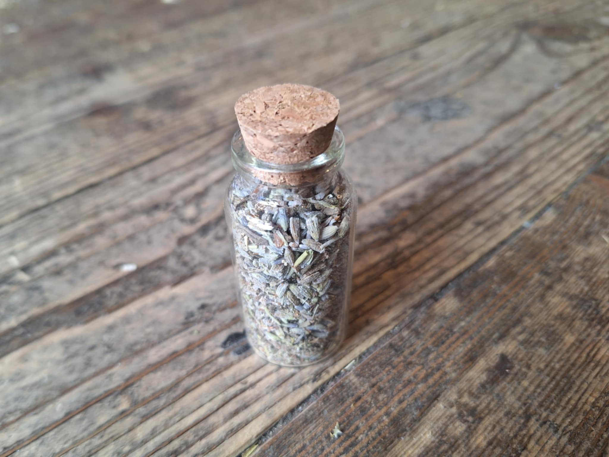 Lavender small.jpg