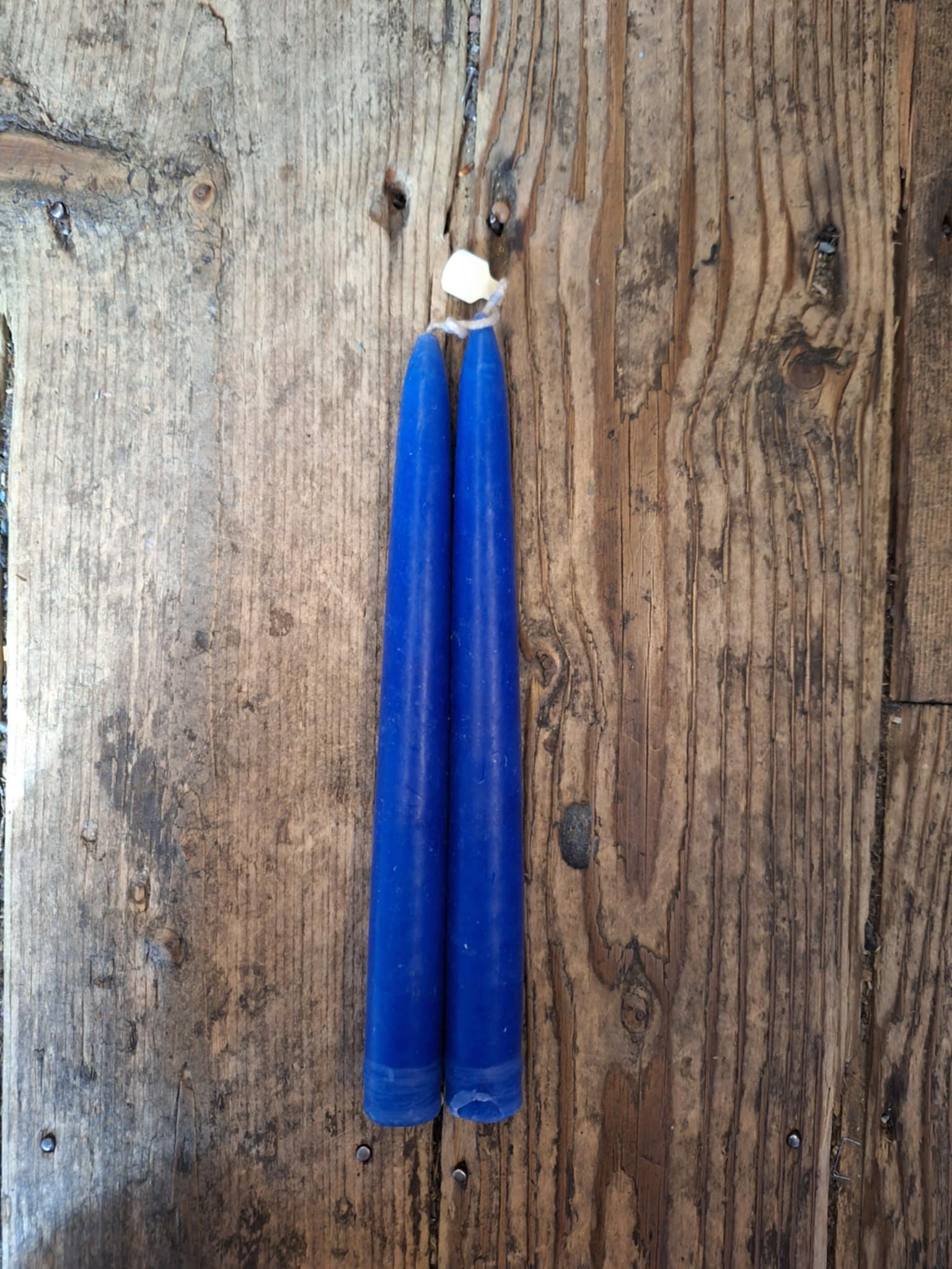 Cornflower.jpg