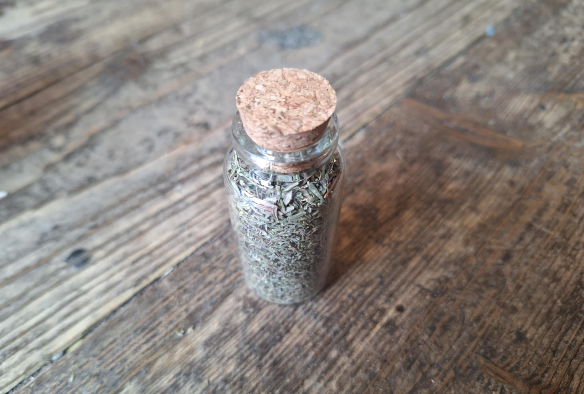 Thyme small.jpg