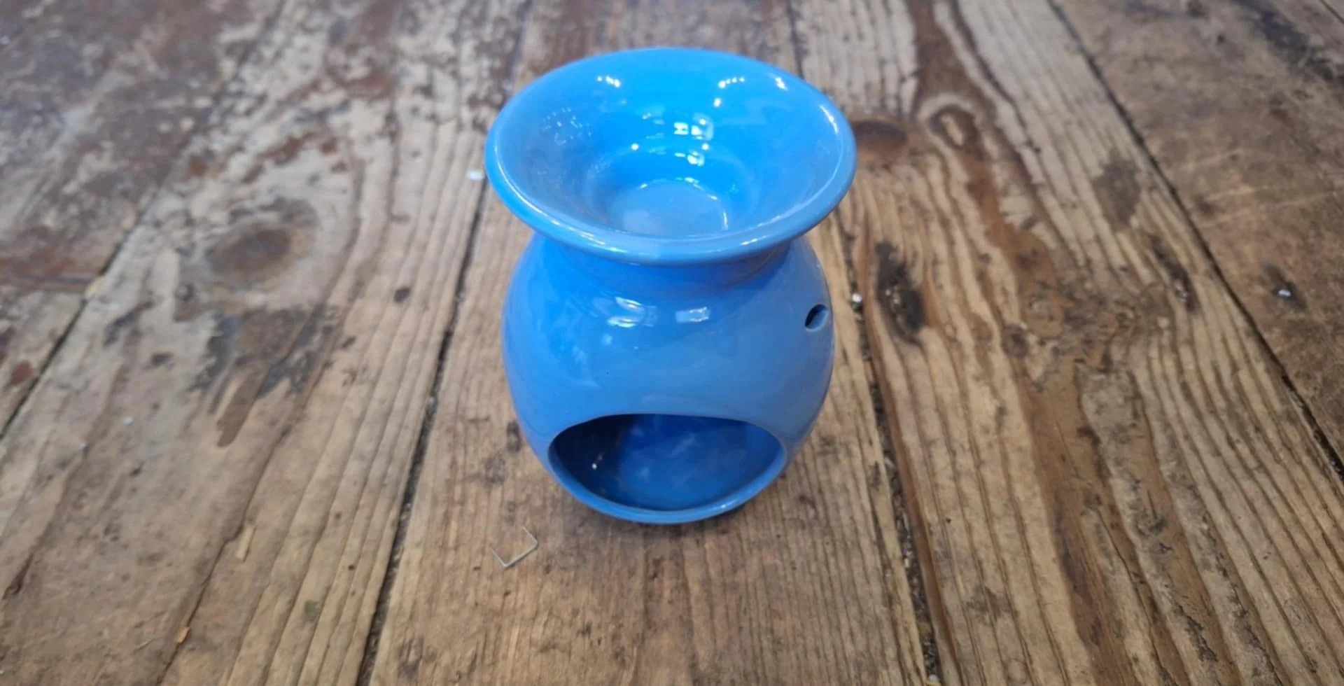 blue leaf burner back.jpg