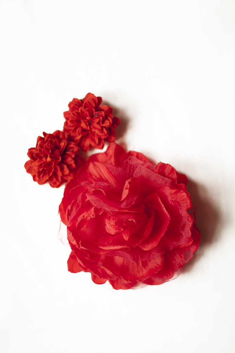 Red_flower_set_00.jpg