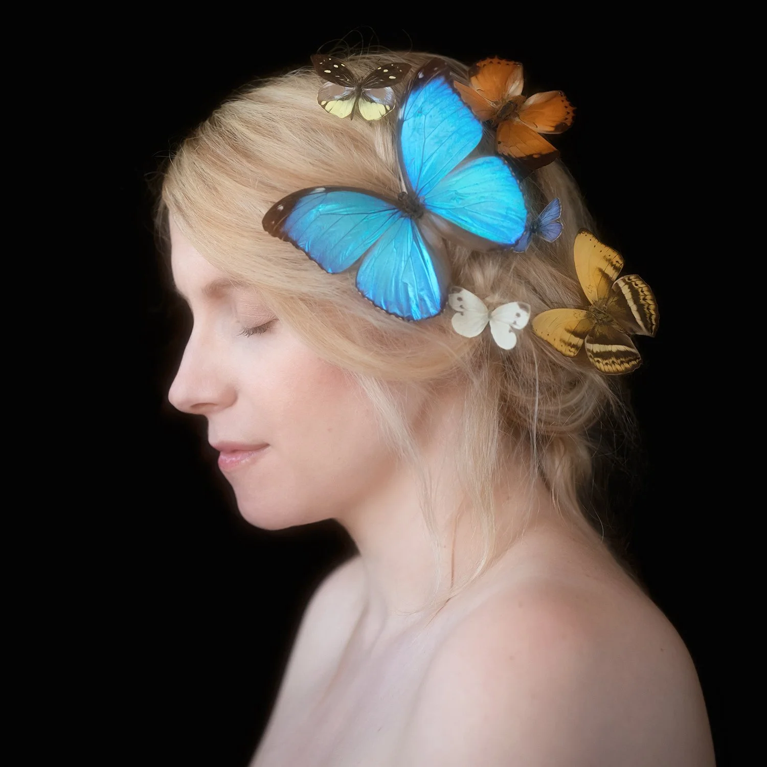 VMok_ElsaKopf_butterflies_2.jpg
