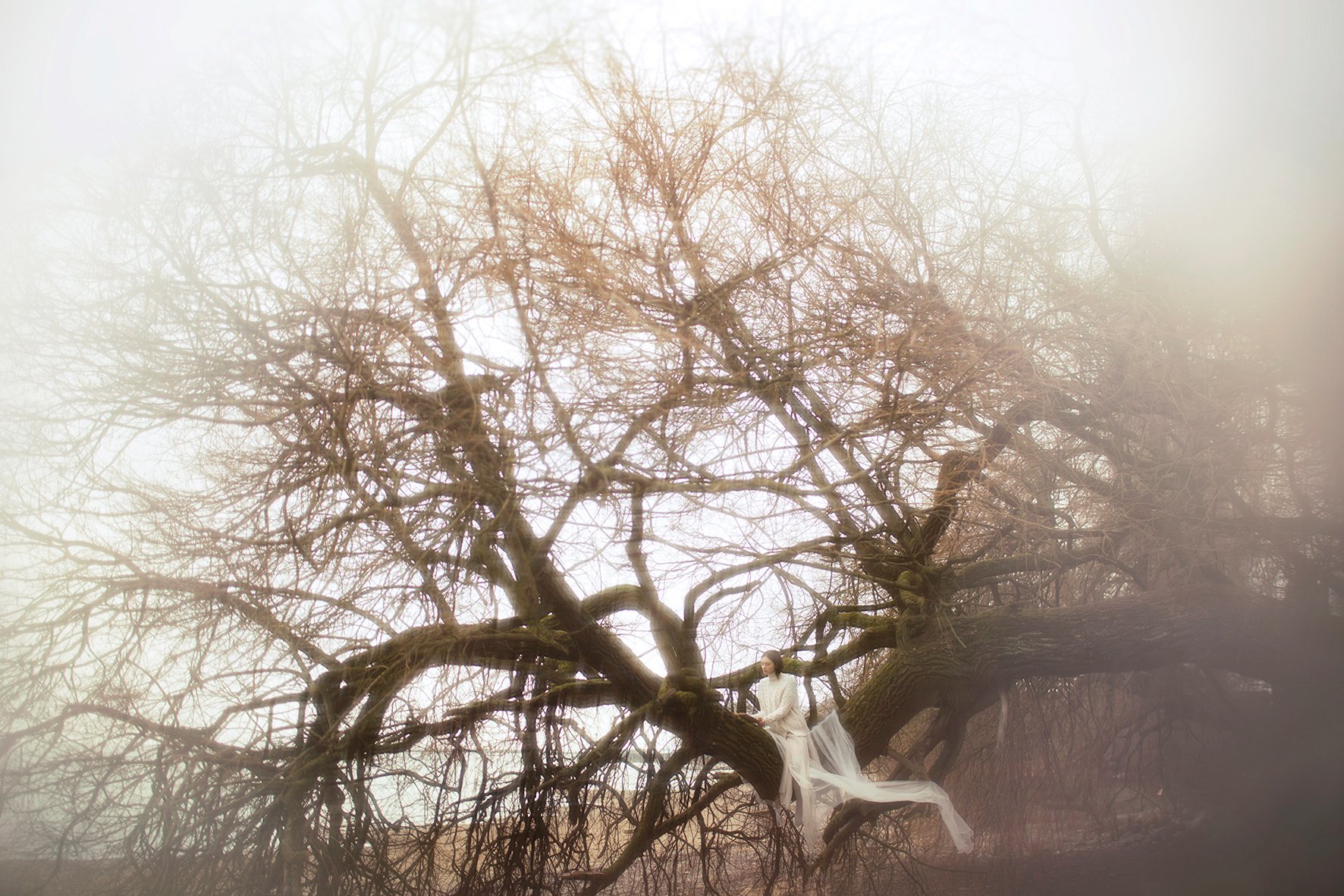 © Vivienne Mok