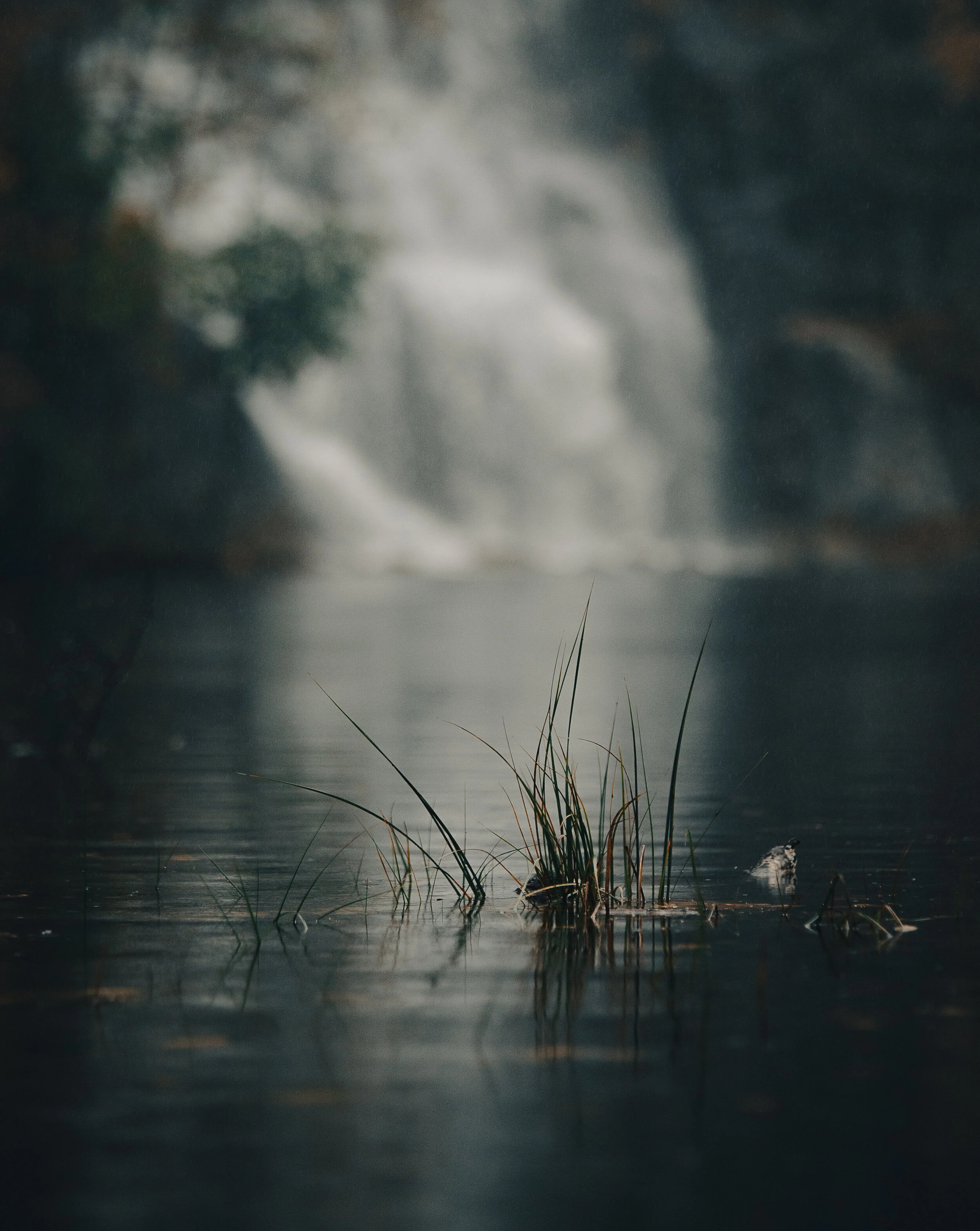 _MG_5294.jpg