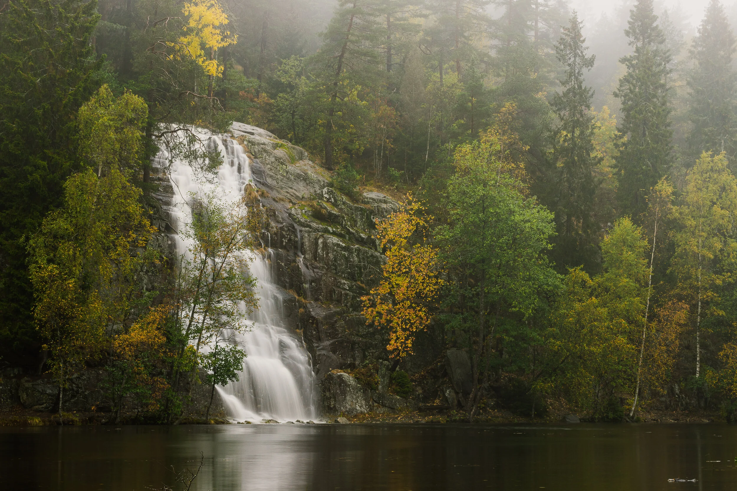 _MG_5270-HDR.jpg