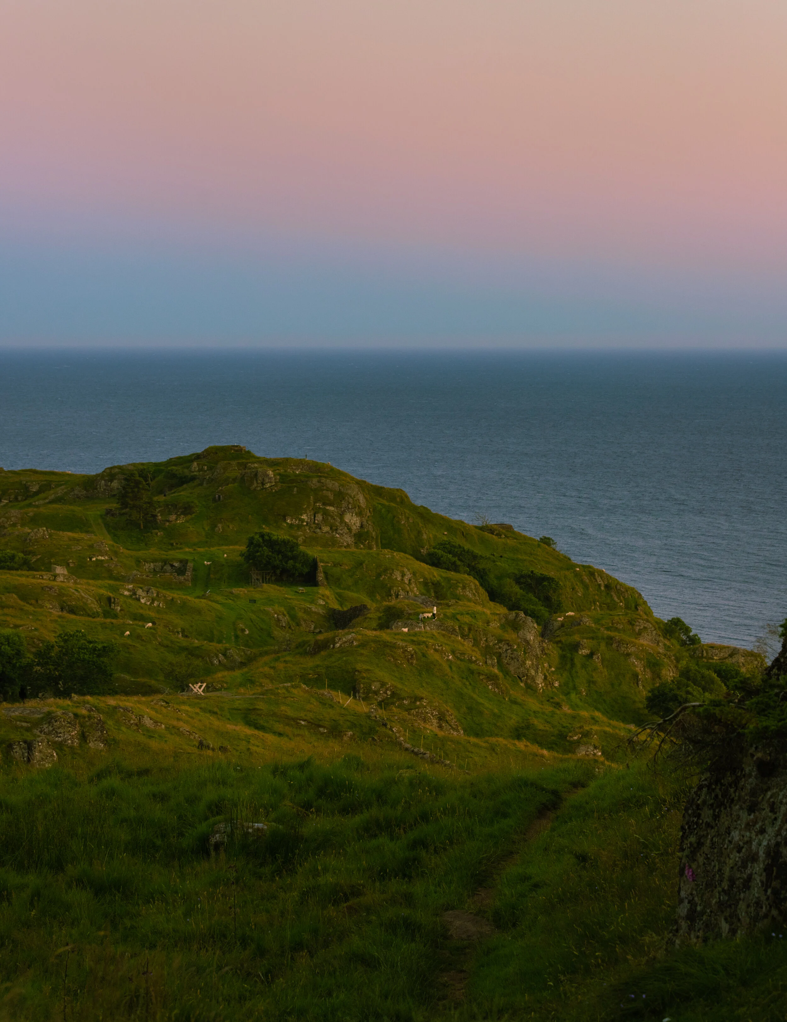 _MG_2702-HDR.jpg