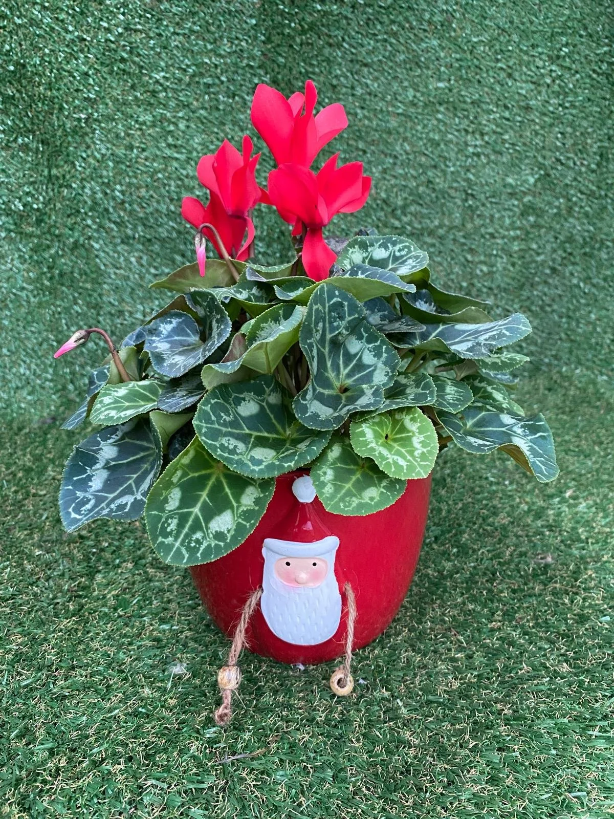 a07aba5d-010f-474b-85f5-721117f2cdb6 (1).JPEG