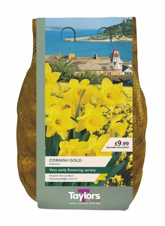 2kg Narcissus Cornish Gold 12-14