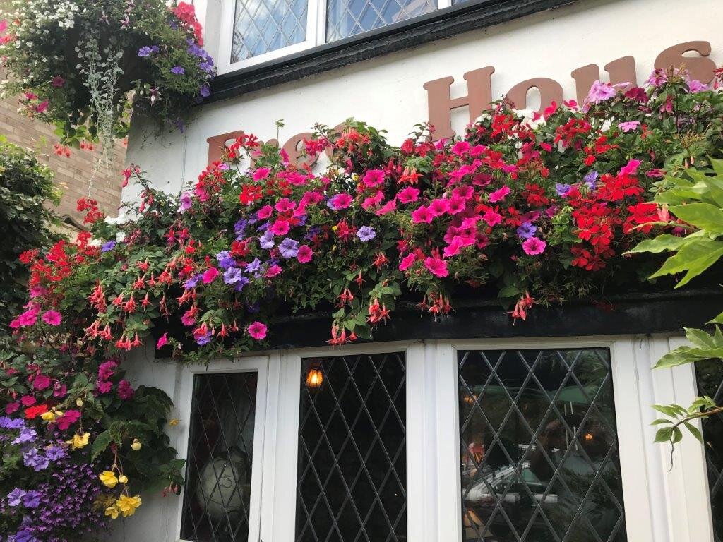 1mt Summer Window Box Planting