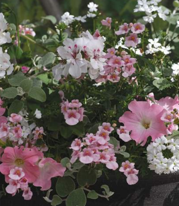 14" Bridal Bouquet Basket