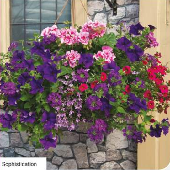 14" Sophistication Basket