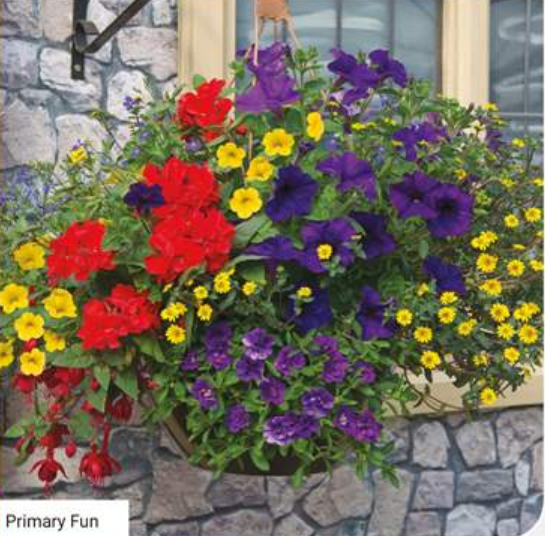 14" Primary Fun Basket