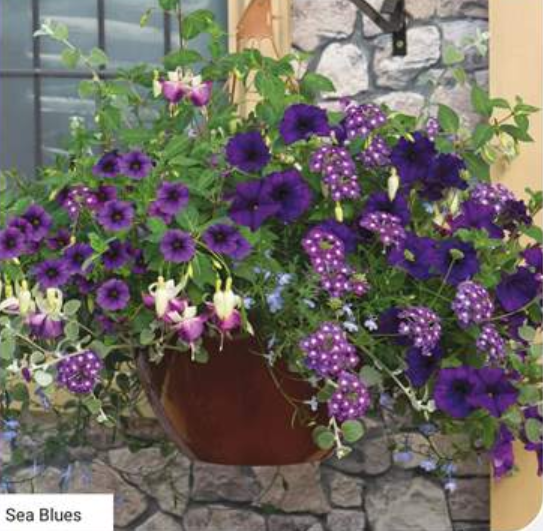 14" Sea Blues Basket