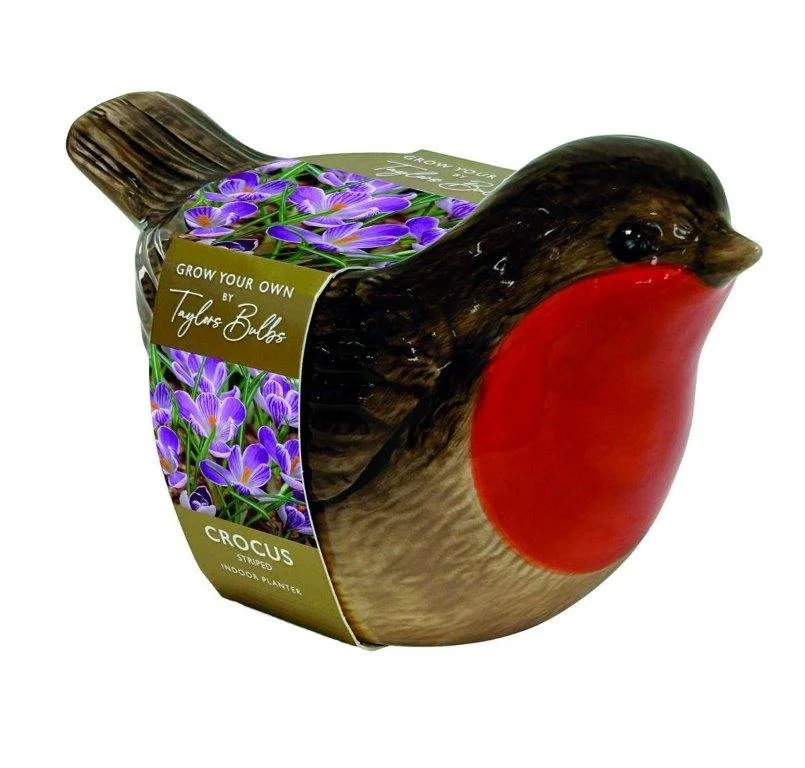 Robin Planter.jpg
