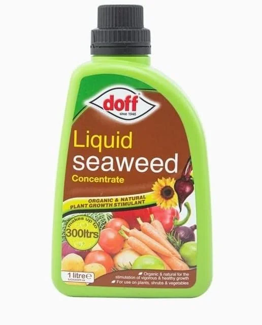 Doff Liquid Seaweed Concentrate 1.2L