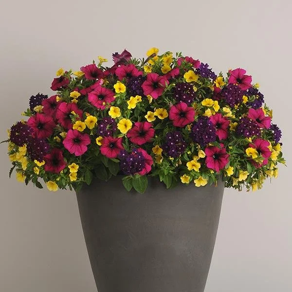 MixMaster Bejeweled 10.5cm