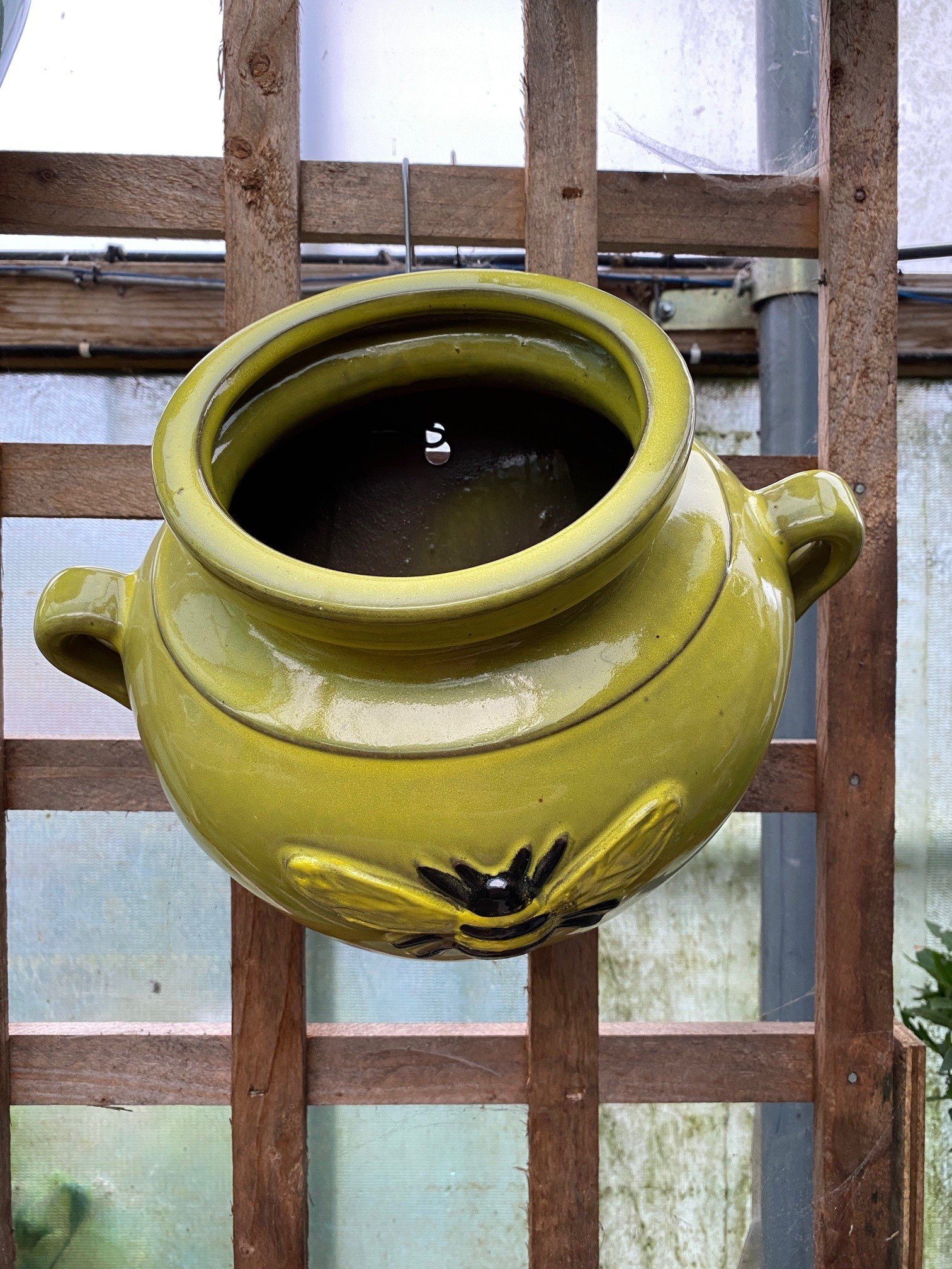 bee pot yellow.jpg