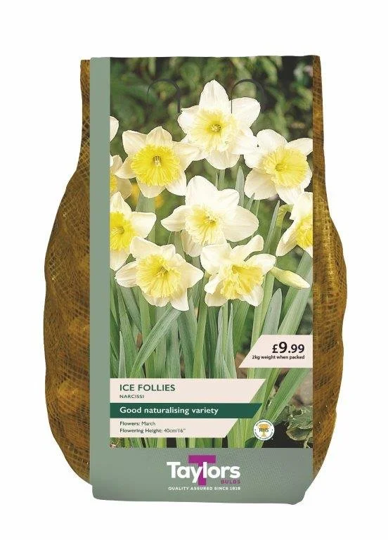 2kg Narcissus Ice Follies 12-14