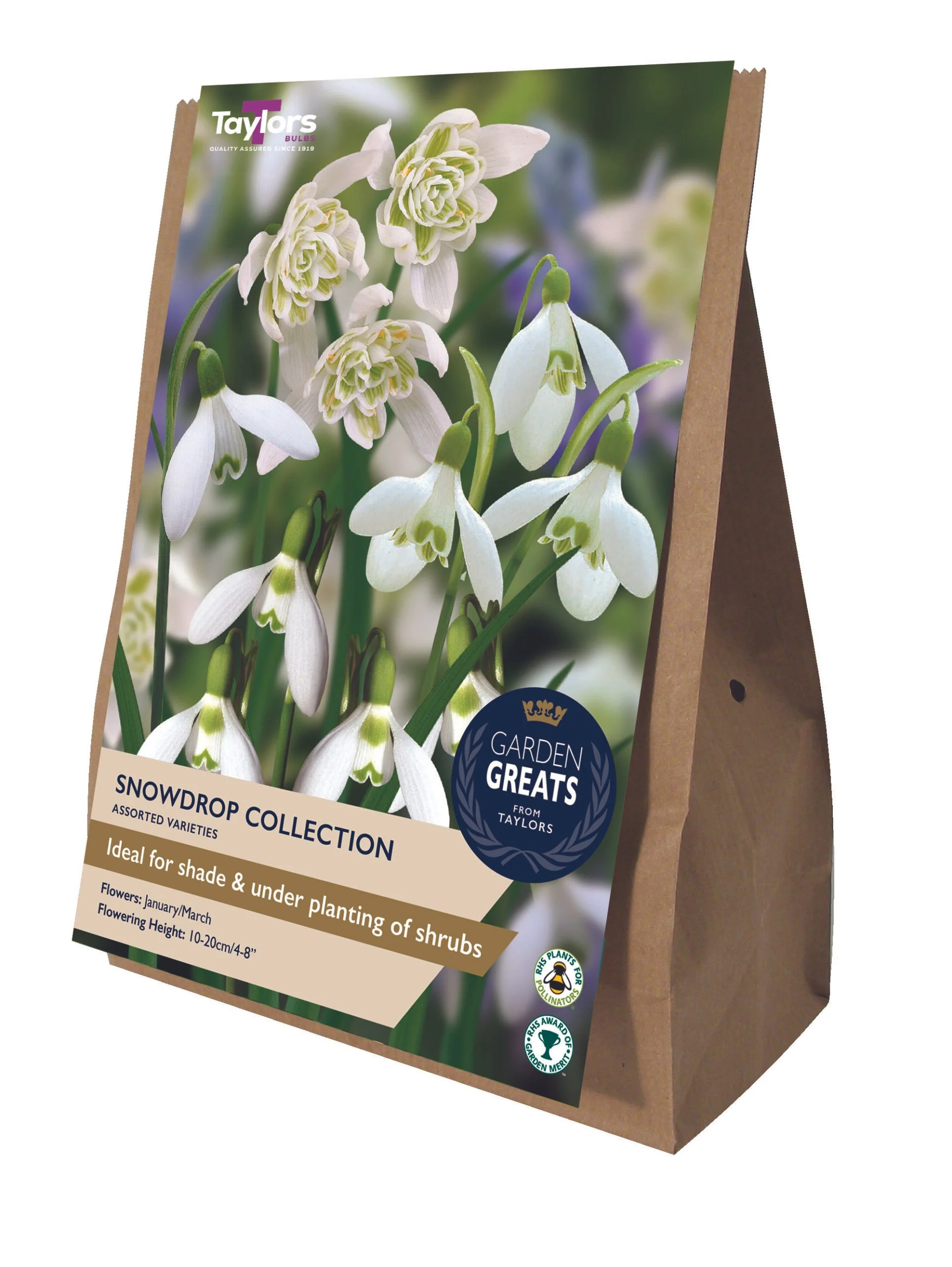 Snowdrop Bulb Collection