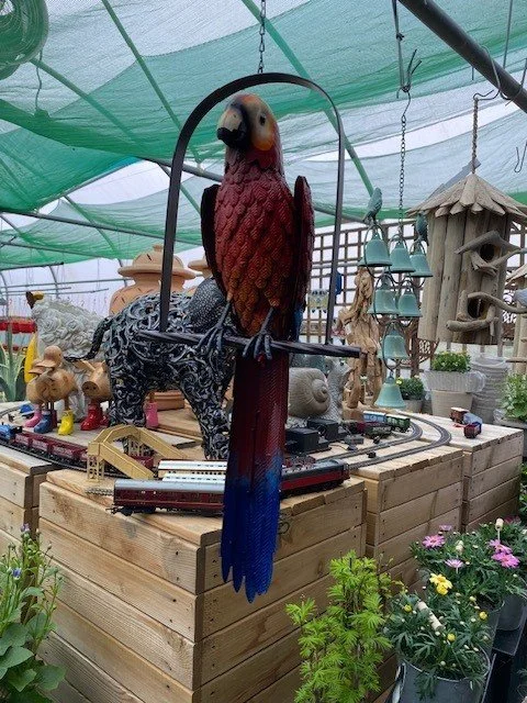Parrot red 1.jpg