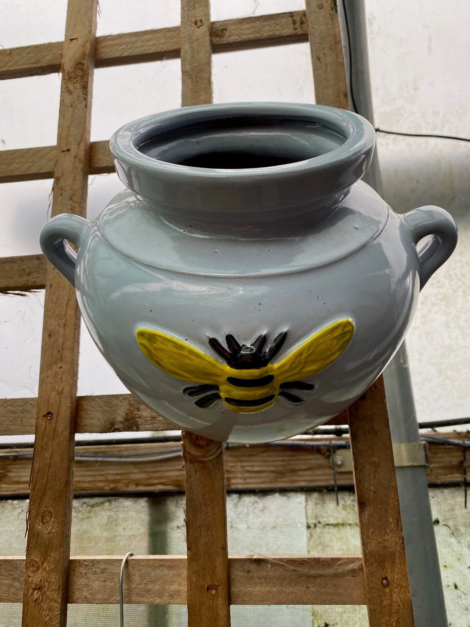 bee pot pale blue.jpg