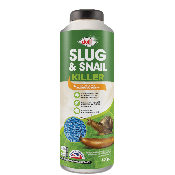 slug and snail.png